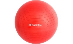 Gymnastics Balls 55cm inSPORTline: Gimnastikos kamuolys + pompa inSPORTline Top Ball 55 cm