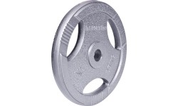 Plieninis svoris gripui 30mm inSPORTline Hamerton 25kg