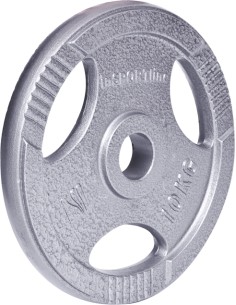 Plieninis svorio diskas grifui 30 mm inSPORTline Hamerton 10 kg