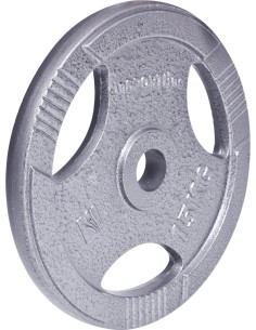 Ketaus svoris 30 mm inSPORTline Hamerton 15 kg