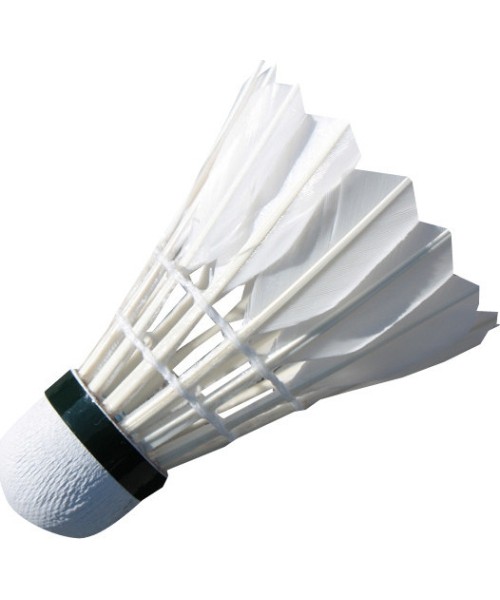 Badmintono plunksnelės Spartan: Badmintono plunksniukai Spartan Feather (6 vnt.)