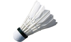 Badmintono plunksnelės Spartan: Badmintono plunksniukai Spartan Feather (6 vnt.)