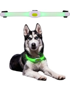 Camping Accessories inSPORTline: LED šviečiantis pavadėlio priedas Petsaber Maxi