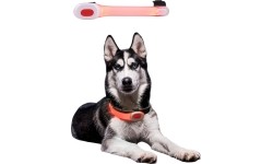 Camping Accessories inSPORTline: LED šviečiantis pavadėlio priedas Petsaber Mini