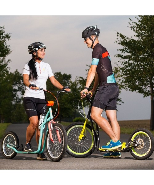 Kick Scooter inSPORTline Drogo SE Blue-Orange