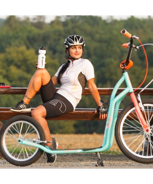 Kick Scooter inSPORTline Drogo SE Blue-Orange