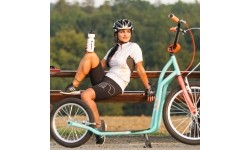 Kick Scooter inSPORTline Drogo SE Blue-Orange