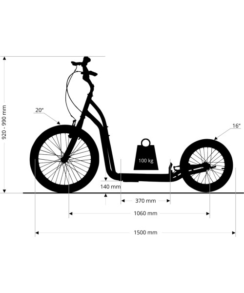 Kick Scooter inSPORTline Disparo V-Brake