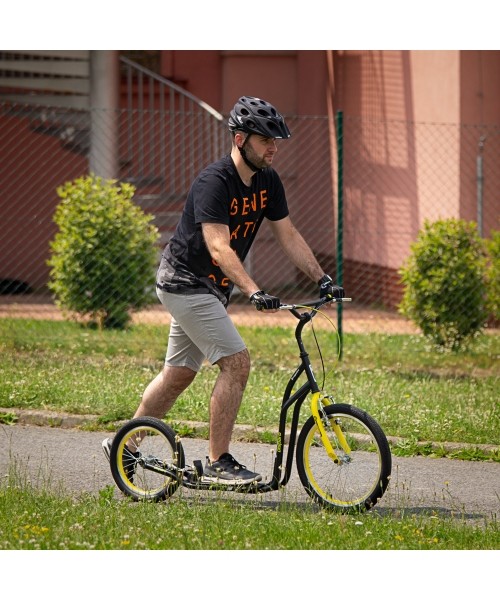 Kick Scooter inSPORTline Disparo V-Brake