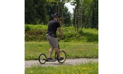 Kick Scooter inSPORTline Disparo V-Brake