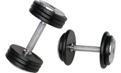 Steel Dumbbells inSPORTline: Hantelis inSPORTline ProFiST 42.5kg