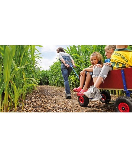 Go-Karts for Youth & Adults BERG: BERG Beach Wagon XL