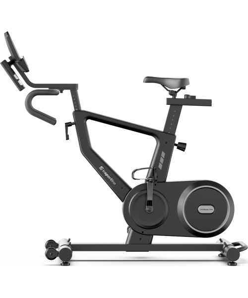 Exercise Bike inSPORTline ZenRoute 250
