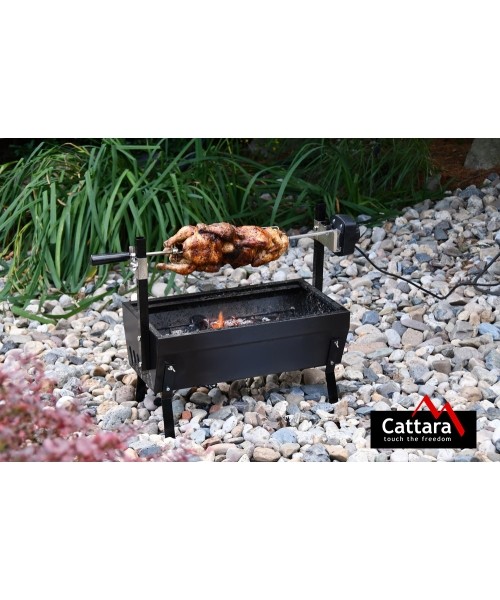 Grill with Electric Motor 230V Cattara Barbecue 60cm