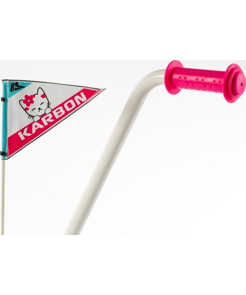 Dviratis Karbon Mimi 14 pink-blue