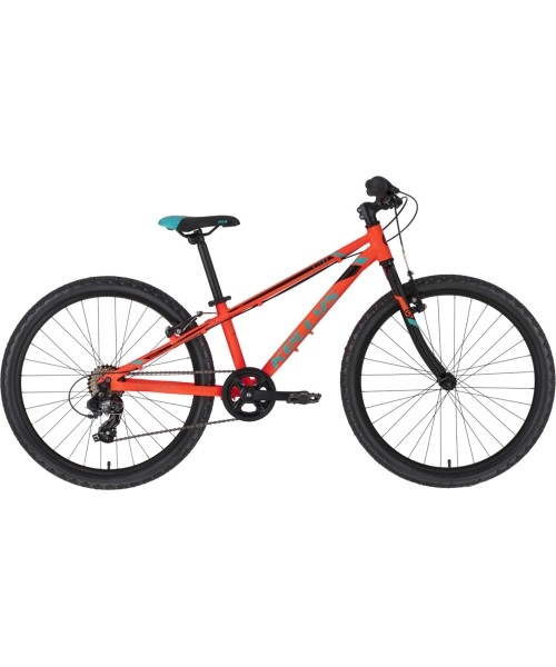 Vaikiški dviratukai ir triratukai : KELLYS Kiter 30 24" dydis 11" (28cm) (oranžinė/žydra/juoda)