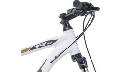 Dviratis Romet Rambler R9.3 29" 2023 white-gold