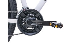 Dviratis Romet Rambler R9.3 29" 2023 white-gold