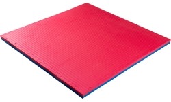 Dėlionės kilimėliai inSPORTline: Tatami Puzzle Mat inSPORTline Malmeida 100 x 100 x 4 cm