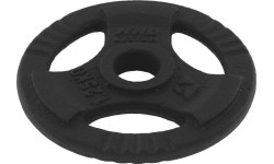 Steel inSPORTline Plates Beltor: Ketaus svoris su rankenomis Platinum Fitness Beltor HRD System Line, 1.25kg, 29mm