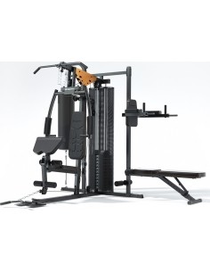 Namų treniruoklis inSPORTline ProfiGym C60