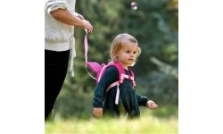 Backpack and Bag Accessories LittleLife: LittleLife Disney Toddler Backpack Piglet