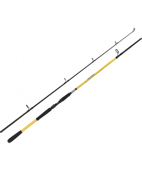 Spinning Rod and Reel Set ZFish Combo Kodiak, 2.40m, Zeus ZX8000