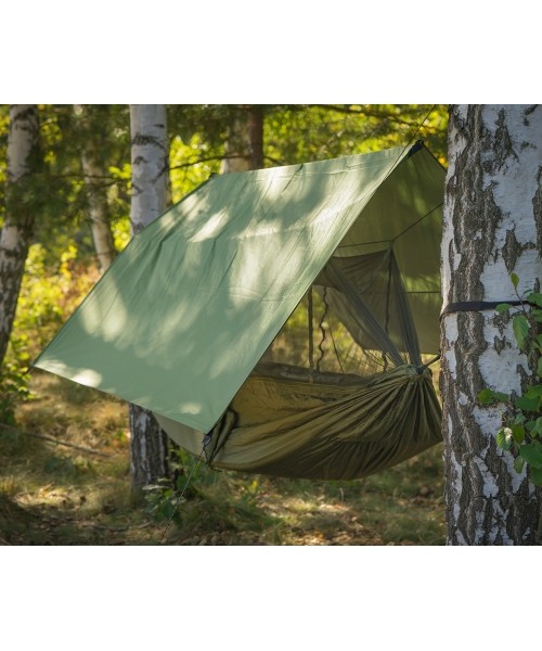 Hammock Yate Nidus