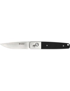 Folding Knife Ganzo Firebird F7211-BK