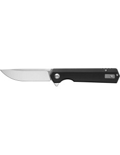 Folding Knife Ganzo Firebird FH11S-BK
