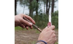 Multifunction Tools and Knives : Kišeninis peiliukas Victorinox Mountaineer 1.3743