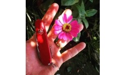 Multifunction Tools and Knives : Kišeninis peiliukas Victorinox Mountaineer 1.3743