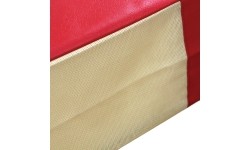 Tradicinis apsauginis kilimėlis, vientiso tankio, PVC danga, 240x200x20 cm