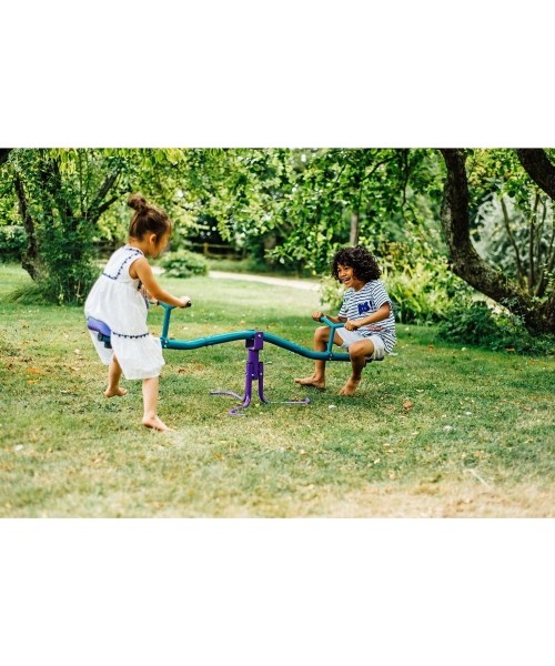 Rotating Seesaw Plum, Turqoise
