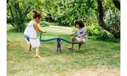 Rotating Seesaw Plum, Turqoise
