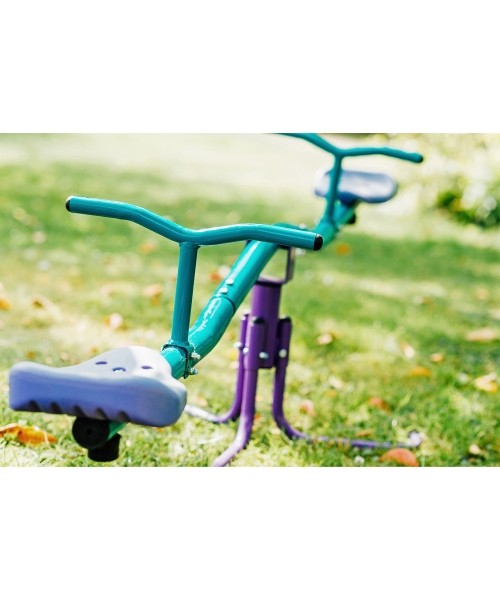 Rotating Seesaw Plum, Turqoise