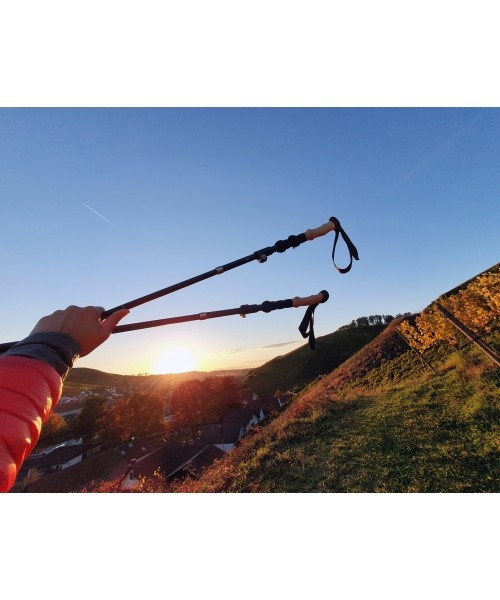 Trekingo lazdos Origin Outdoors „Micro-Fold"