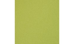 Single-Layer Mat Yate, 10 mm - Light Green
