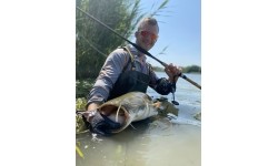 Meškerė Zfish Catfish Morga 2,70 m, 100-400 g