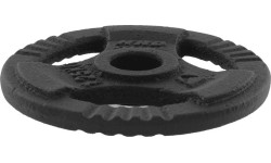 Cast Iron Weight Plate With Holders Platinum Fitness Beltor HRD System Line, 1.25kg, 29mm 