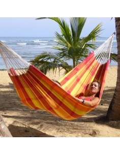 Hammock Amazonas Barbados Papaya