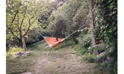 Hammock Amazonas Barbados Papaya