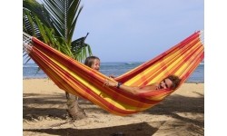 Hammock Amazonas Barbados Papaya