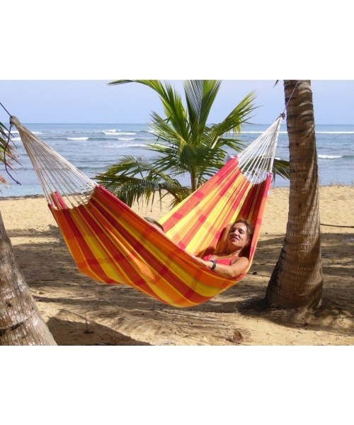 Hammock Amazonas Barbados Papaya