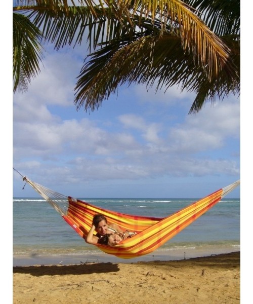 Hammock Amazonas Barbados Papaya