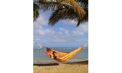 Hammock Amazonas Barbados Papaya