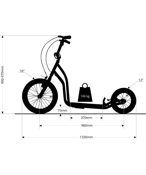 Kick Scooter inSPORTline Suter SE Green