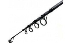 Carp Fishing Rod Zfish Kingstone 3.60m, 60-100g