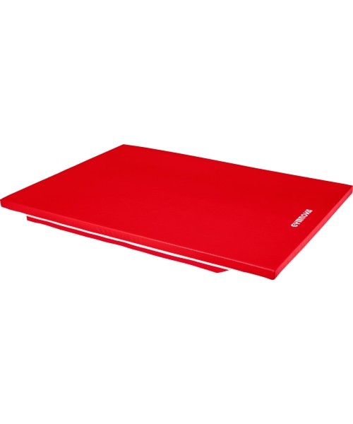 Mattresses & Tatami : TAPIS SCOLAIRE - PVC HOUSSE - AVEC BANDES DE LIAISON - SANS COINS RENFORCÉS - 200 x 100 x 4 cm