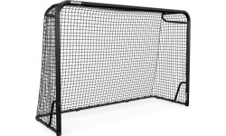 BERG SportsGoal M
